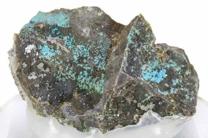 Vibrant Blue Cyanotrichite - China #277286